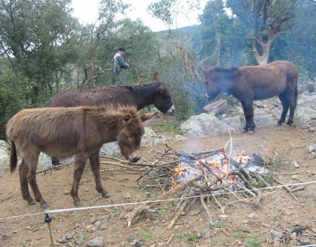  Calefacción natural 
